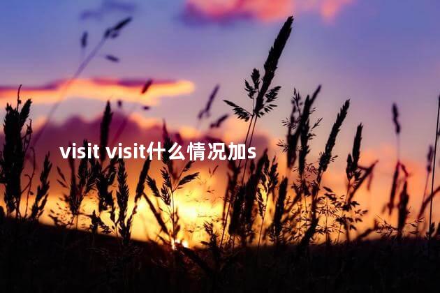 visit visit什么情况加s